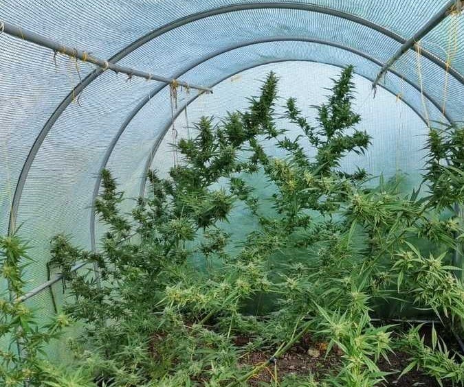 /Podkarpacka Policja /