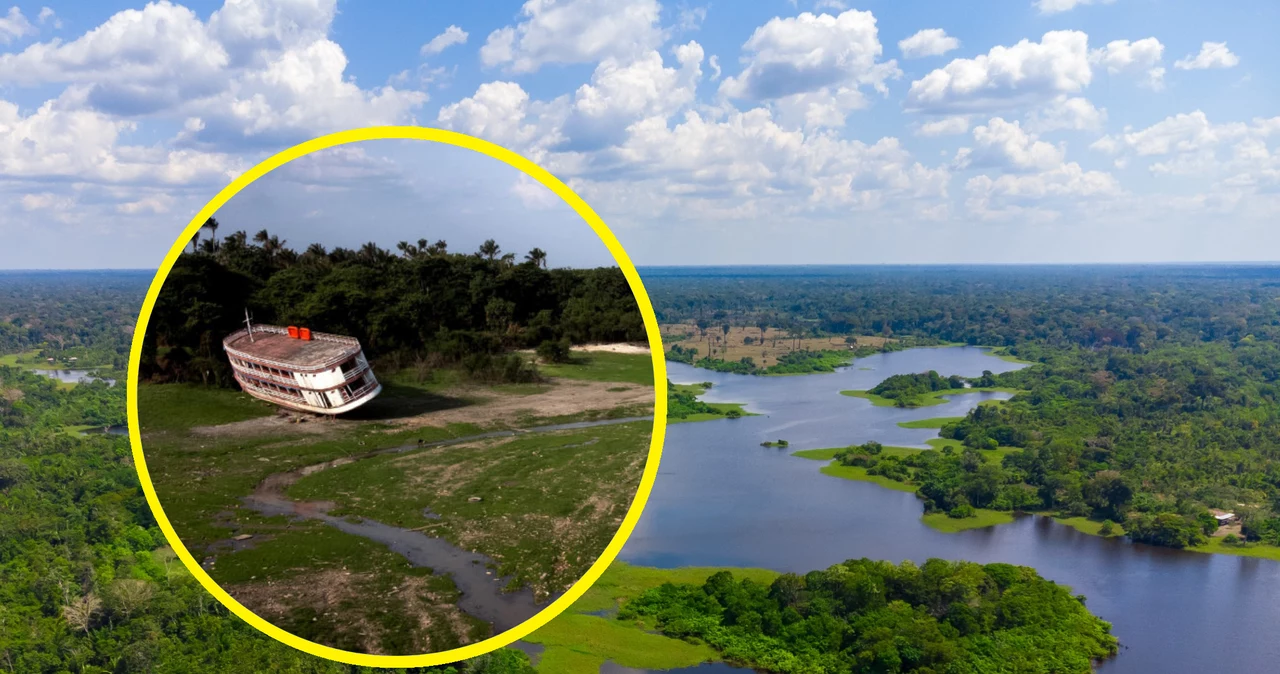 W porcie w Manaus poziom wody był najniższy od co najmniej 121 lat. Żegluga na Amazonce jest bardzo utrudniona, setki tysięcy osób cierpią z powodu suszy