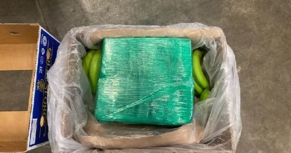 Holenderska policja aresztowała sześciu mężczyzn, którzy przewozili prawie 8 ton kokainy. Narkotyki były ukryte wśród bananów, a za kierownicą ciężarówki siedział Polak.