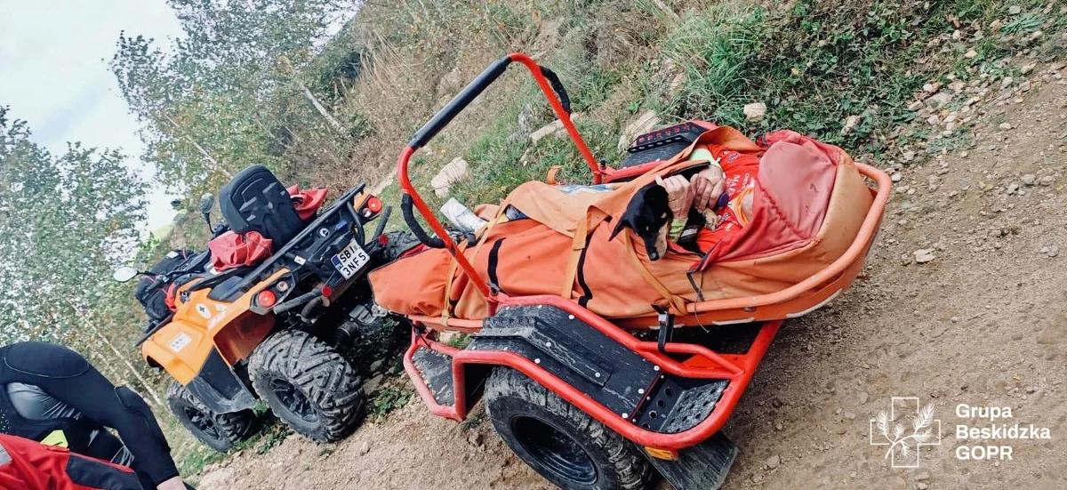 Pies, należący do mieszkańca Wilna, dał lekcję prawdziwej przyjaźni i wierności. Kiedy jego właściciel uległ wypadkowi na trasie rowerowej w Wiśle, pupil nie odstąpił go na krok. Goprowcy udzielili pomocy poszkodowanemu mężczyźnie, a wierny pies towarzyszył mu nawet na ratowniczych noszach - podali ratownicy Grupy Beskidzkiej GOPR.