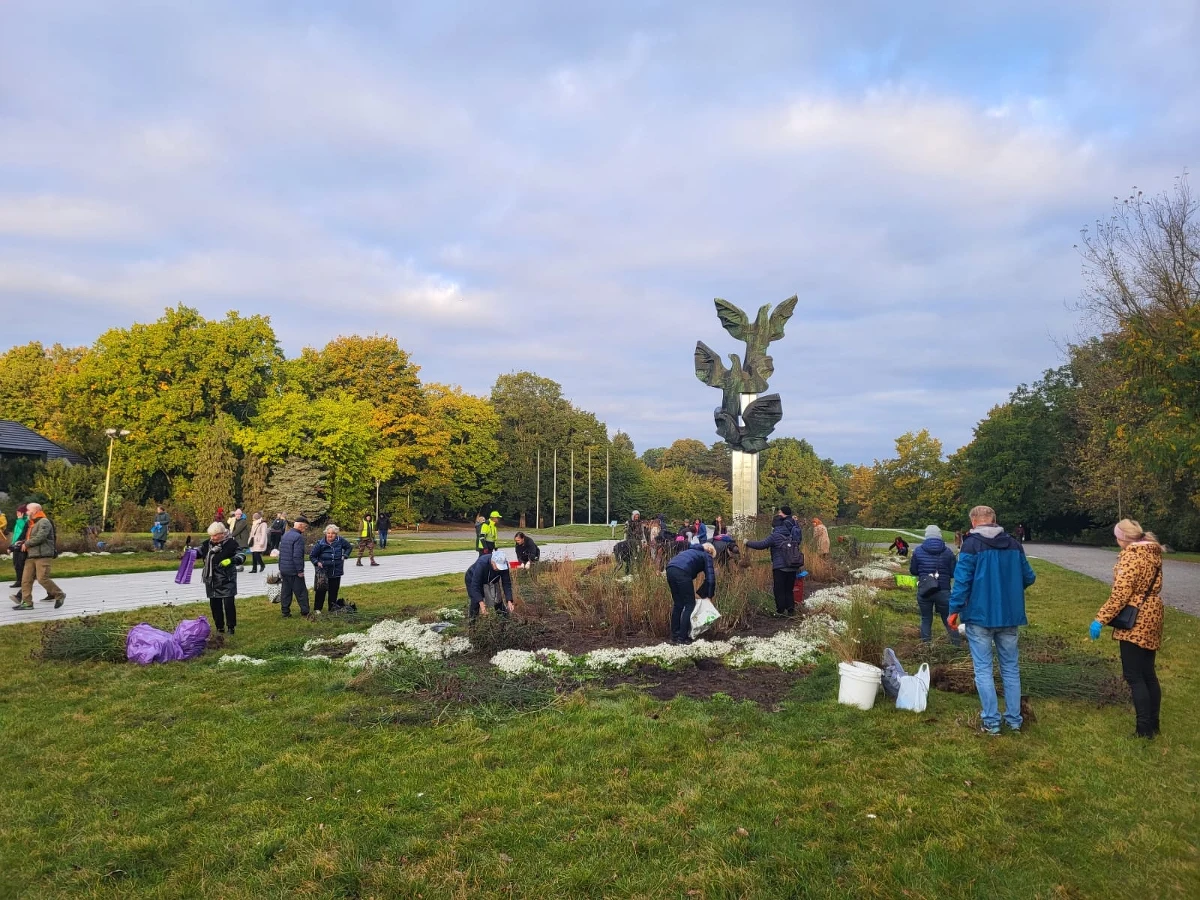 Błyskawicznie zniknęły rośliny z rabaty przed Pomnikiem Czynu Polaków w Szczecinie. Reprezentacyjna rabata miała zostać zlikwidowana przed zimą. W tym roku, po raz pierwszy rośliny zamiast na kompost, trafiły do mieszkańców.

