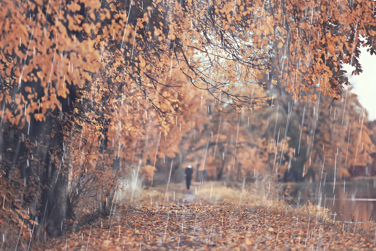W najbliższych dniach czeka nas niezwykle dynamiczna pogoda. Chociaż już zdążyliśmy się przyzwyczaić do typowo jesiennej, zimnej aury, nadchodzące godziny przyniosą gwałtowne zmiany. Na północy Polski w piątek spodziewane są opady śniegu, za to mieszkańcy południa kraju na termometrach zobaczą nawet 20 stopni Celsjusza.