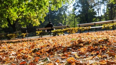 Od 2 do 20 stopni. Ogromna różnica temperatury w Polsce