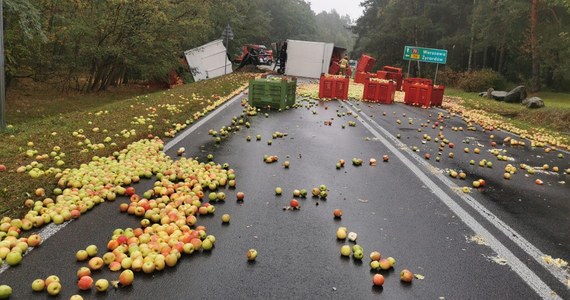 W Kamionie pod Żyrardowem na Mazowszu zderzyły się trzy pojazdy. Wśród nich była ciężarówka przewożąca jabłka. Owoce wysypały się na drogę, która jest teraz  nieprzejezdna. 