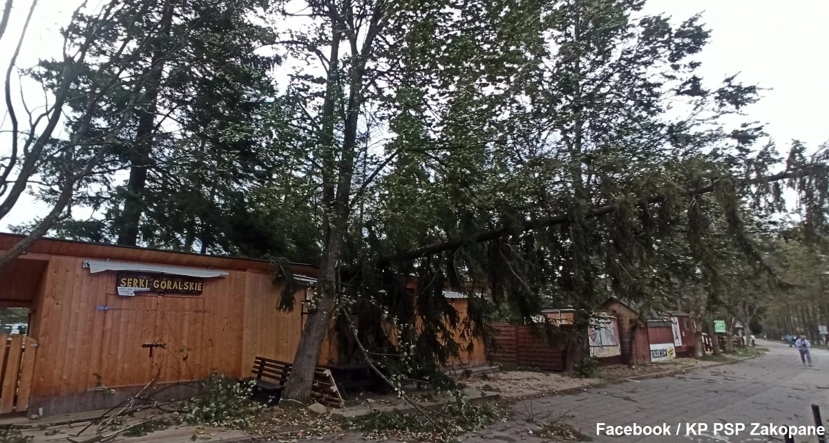 Kilkanaście razy wyjeżdżali zakopiańscy strażacy do zdarzeń związanych z silnym wiatrem. Były to najczęściej powalone drzewa bądź połamane konary. Na szczęście nikt nie ucierpiał.