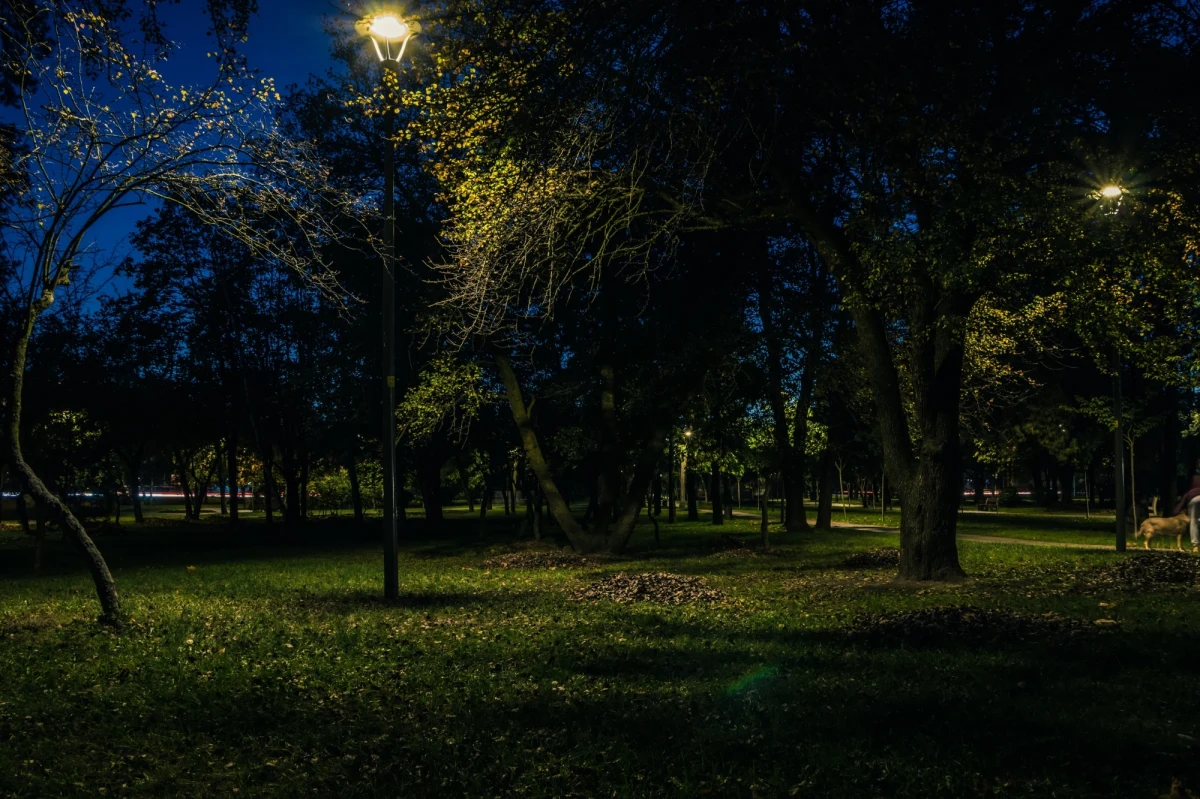 Miniona noc w niektórych regionach Polski była wyjątkowo ciepła. Miejscami na południu kraju przez całą noc temperatura nie spadła poniżej 20 stopni. "Mieliśmy tam do czynienia z tropikalną nocą" - informuje Instytut Meteorologii i Gospodarki Wodnej.