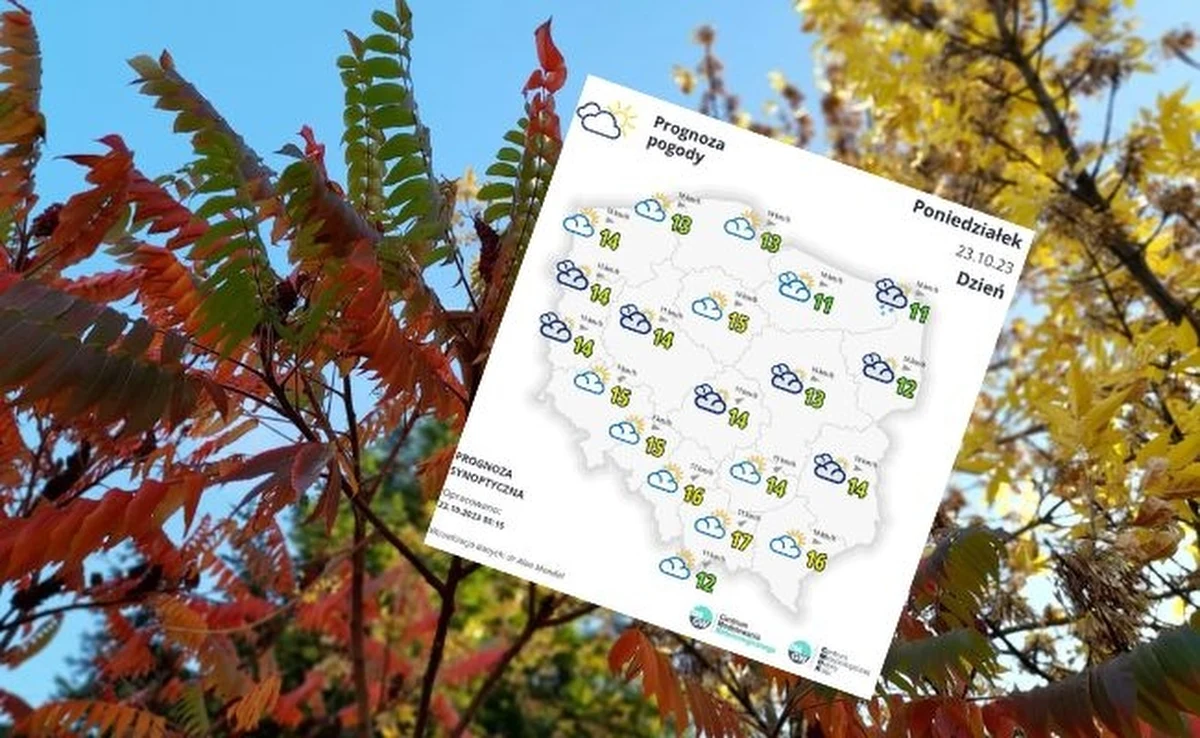 W poniedziałek pogoda powinna się poprawić. Spodziewane są już tylko niewielkie i miejscowe opady deszczu. Temperatura, jak powiedziała synoptyk IMGW Grażyna Dąbrowska, zrobi się bardziej wyrównana. Najcieplej będzie na krańcach południowo-wschodnich - do 16 stopni Celsjusza. Kolejne dni również zapowiadają się wyjątkowo ciepłe, jak na końcówkę października.