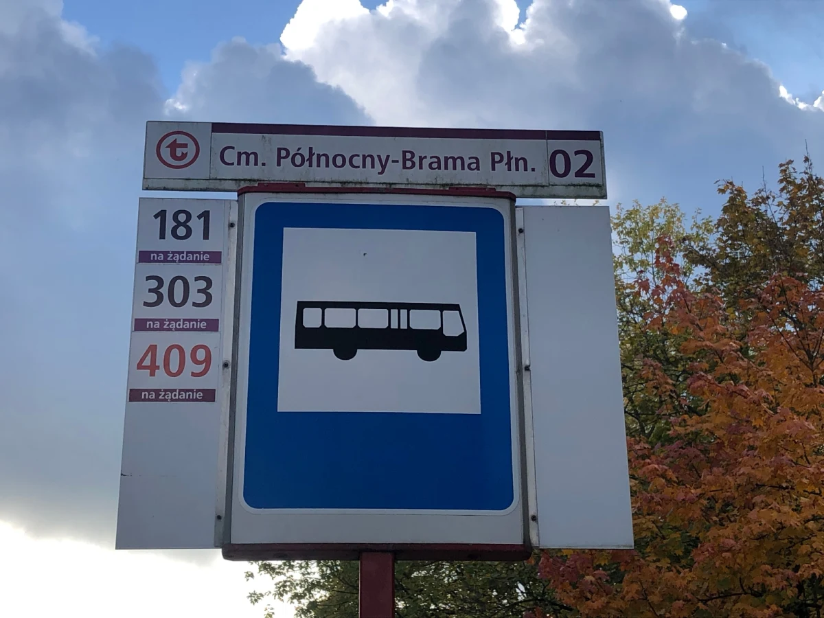 Pierwsze w tym roku dodatkowe linie autobusowe wożą już mieszkańców Warszawy na groby bliskich. Do Dnia Wszystkich Świętych zostało dziewięć dni.


