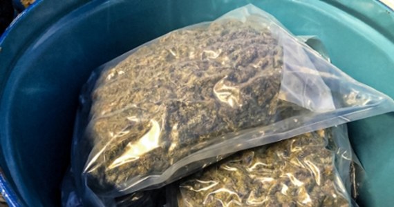 120 kilogramów marihuany przejęli policjanci z poznańskiego CBŚP. Narkotyki znajdowały się w transporcie, którym z Hiszpanii miał być przewożony koncentrat pomidorowy. 