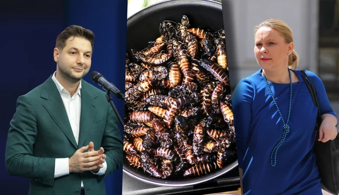 Europosłowie PiS tłumaczą, dlaczego zagłosowali za jedzeniem robaków