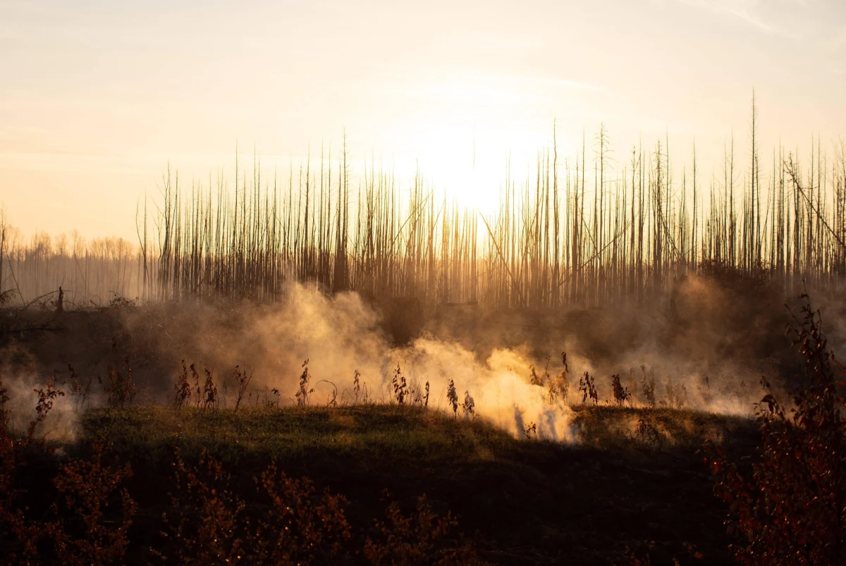 Wkroczyliśmy w niezbadany obszar zjawisk klimatycznych, życie na Ziemi może być zagrożone - przekonuje w najnowszym raporcie na łamach "BioScience" międzynarodowy zespół naukowców. Wyniki analizy, przeprowadzonej pod kierunkiem Williama Ripple'a i Christophera Wolfa z Oregon State University wskazują na to, że parametry życiowe naszej planety pogorszyły się w stopniu, którego ludzie nigdy wcześniej nie doświadczyli. Ich zdaniem bez rozwiązania kluczowego problemu, polegającego na tym, że ludzkość czerpie z Ziemi więcej, niż nasza planeta jest w stanie dać, czeka nas załamanie zarówno systemu naturalnego, jak i społeczno ekonomicznego. Przestrzegają przed trudnym do wytrzymania upałem, brakami żywności i wody.