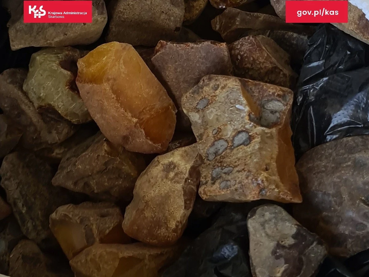 Przemyt 67 kg bursztynu udaremnili funkcjonariusze lubelskiej Służby Celno-Skarbowej. Autem podróżowała do Polski obywatelka Ukrainy. Bursztyn był ukryty w przerobionej desce rozdzielczej i w progach pojazdu. To największy jego przemyt w tym roku przez granicę w woj. lubelskim. 