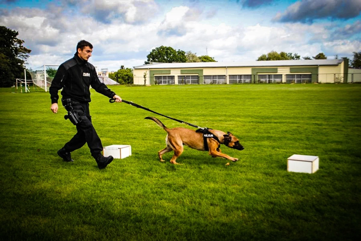 Amfetaminę, marihuanę oraz ciastko z narkotykiem znaleźli policjanci w domu 24-letniego mieszkańca gminy Dąbrowa Białostocka na Podlasiu. Mężczyźnie grozi do 3 lat więzienia.