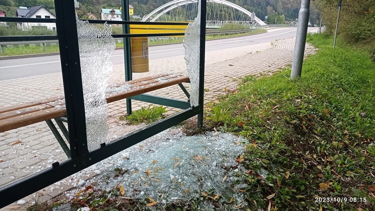 Policjanci z Muszyny ( Małopolskie) zatrzymali wandala, który uszkodził 6 szyb w wiatach przystankowych. W ustaleniu sprawcy pomógł system monitoringu, działający na terenie miasta. Mężczyzna już usłyszał zarzut i odpowie teraz przed sądem za uszkodzenie mienia. Grozi mu do 5 lat więzienia.