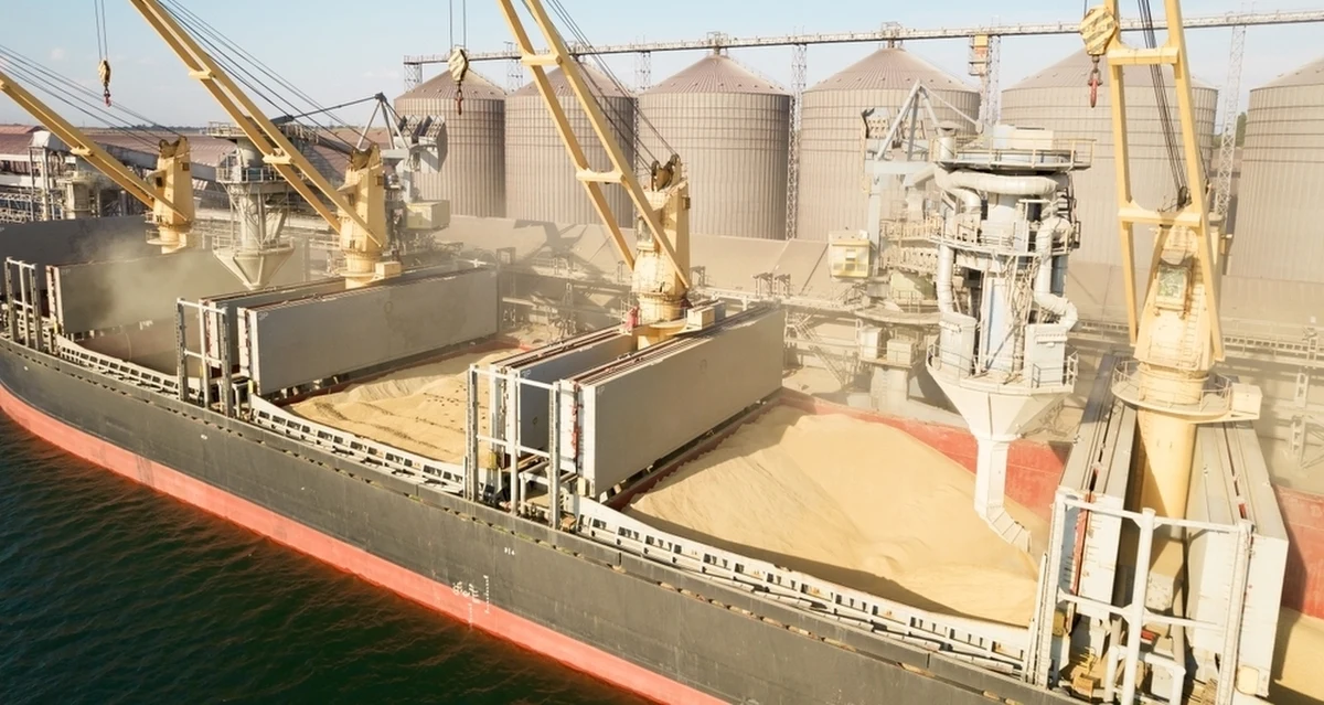 Ukraina zawiesiła możliwość korzystania z nowego korytarza zbożowego przez Morze Czarne ze względu na zagrożenie ze strony rosyjskich samolotów - poinformowała ukraińska firma Barva Invest, której komunikat cytuje agencja Reutera. Ukraińcy utworzyli w sierpniu tymczasowy korytarz zbożowy, by ominąć blokadę morską nałożoną przez Rosjan.