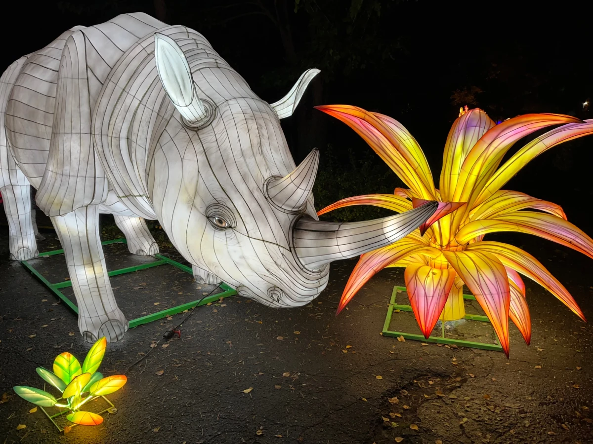 ​We wrocławskim zoo odbył się dziś przedpremierowy pokaz nowej multimedialnej atrakcji. To wystawa edukacyjna Ogród Świateł "Dzika Afryka". Zobaczymy na niej zwierzęta w formie widowiskowych, podświetlonych figur 3D.