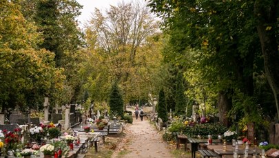 Jak dojechać na cmentarze? Wszystkich Świętych w Trójmieście