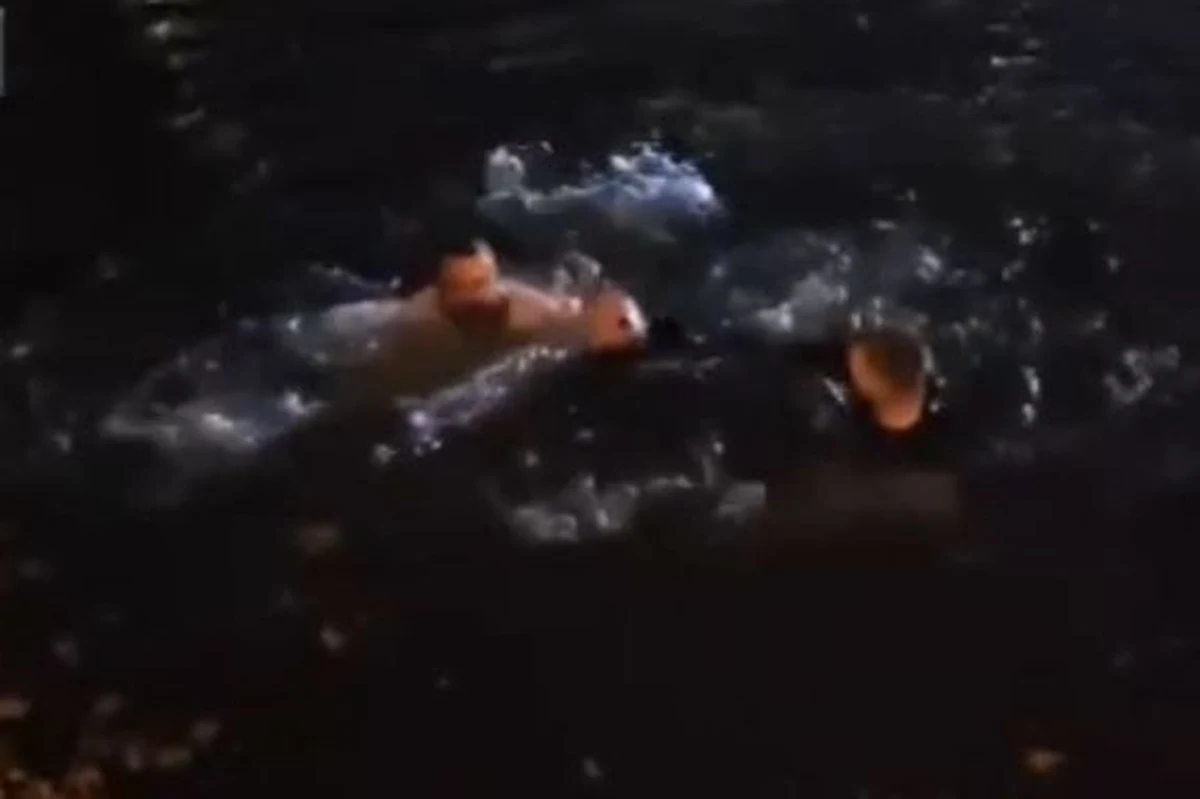 Policjanci patrolujący Bulwar Tadka Jasińskiego we Wrocławiu nie wahali się ani chwili, kiedy zobaczyli tonącego nastolatka. Ryzykując własne życie, rzucili się na pomoc młodemu mężczyźnie.