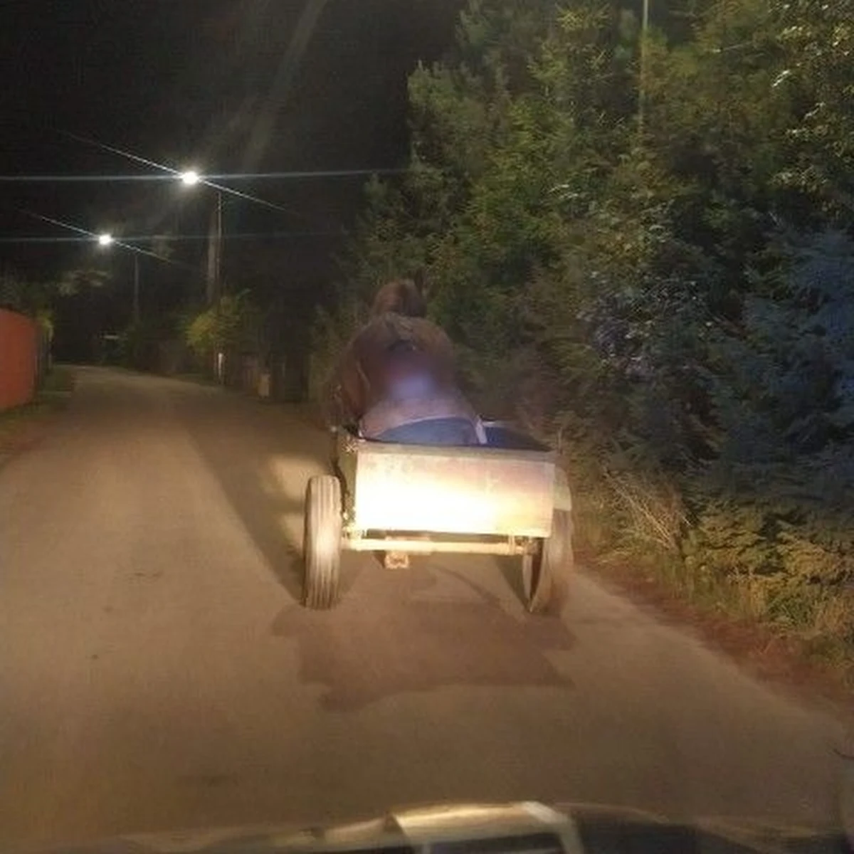 Ponad 3,5 promila alkoholu miał w organizmie woźnica, który spał w wozie, podczas gdy koń zmierzał do domu. Policyjny patrol zatrzymał zaprzęg. Do niecodziennej sytuacji doszło na Kaszubach.   

