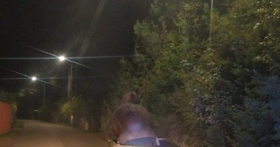 Ponad 3,5 promila alkoholu miał w organizmie woźnica, który spał w wozie, podczas gdy koń zmierzał do domu. Policyjny patrol zatrzymał zaprzęg. Do niecodziennej sytuacji doszło na Kaszubach.   

