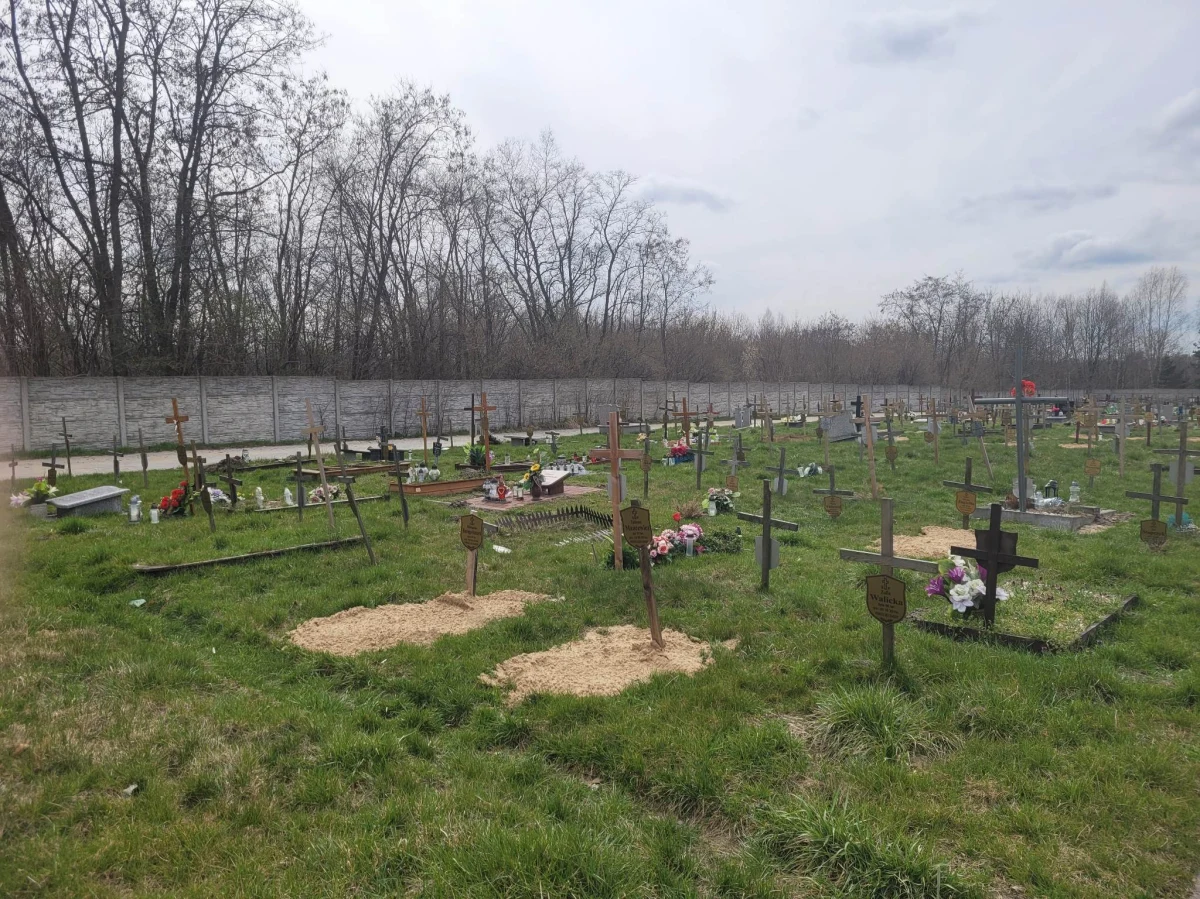 W poniedziałek (30 października) na cmentarzu przy ul. Zakładowej w Łodzi, gdzie pochowane są osoby bezdomne, samotne, zapomniane będą płonąć znicze. Zapalą je społecznicy, uczniowie łódzkich szkół, przedstawiciele organizacji pozarządowych, MOPS oraz łodzianie, którzy zechcą wziąć udział w wydarzeniu. - To jubileuszowa X edycja akcji "Światełko Pamięci", której inicjatorem i pomysłodawcą jest łódzki społecznik Przemysław Ledzian.