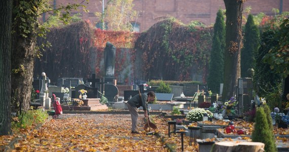 1 listopada w rejonie 12 łódzkich cmentarzy zmieni się organizacja ruchu, aby zapewnić bezpieczeństwo pieszym i zorganizować ruch. Sprawdź, jak dojechać do poszczególnych cmentarzy i gdzie prowadzone są remonty.