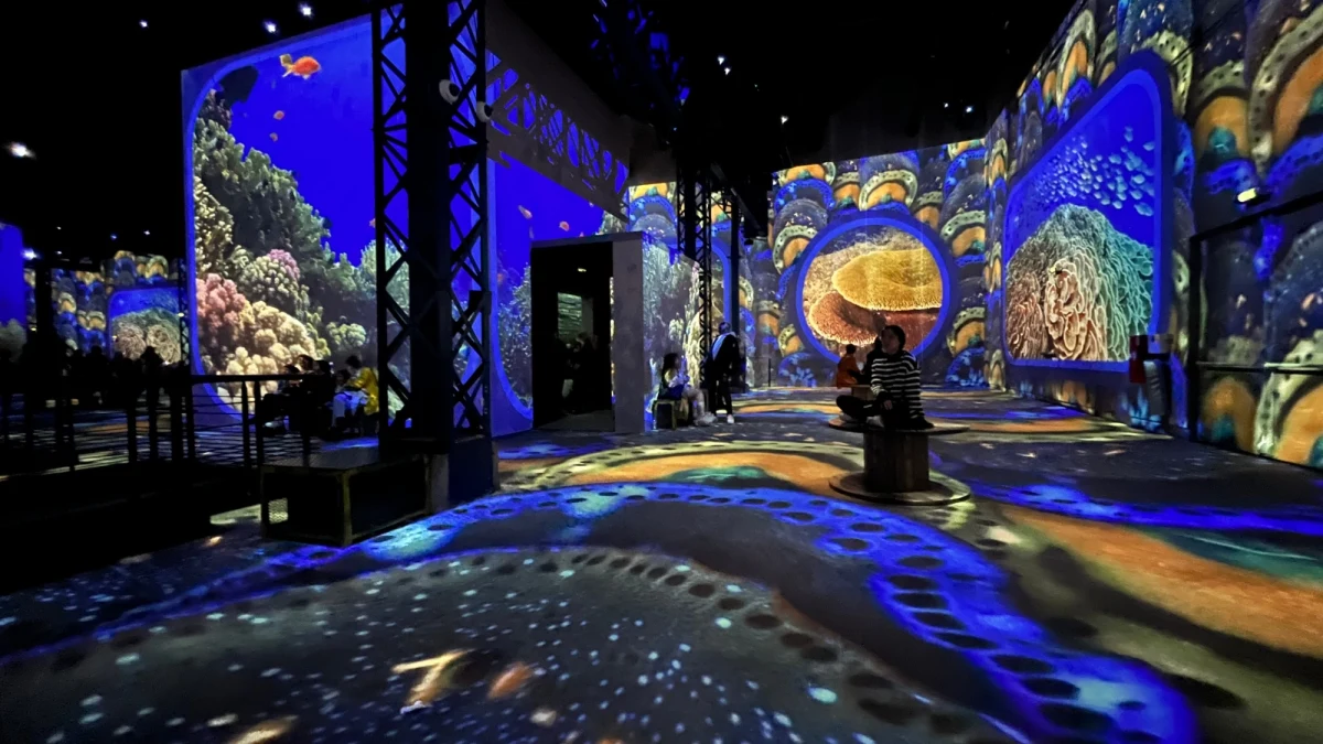 "Ocean w Paryżu" to nowa atrakcja dla mieszkańców francuskiej stolicy i odwiedzających ją turystów. Chodzi o tzw. immersyjną wystawę zrobionych pod wodą zdjęć i filmów. Zwiedzający mają wrażenie, że nurkują w oceanie z rybami, delfinami i wielorybami.