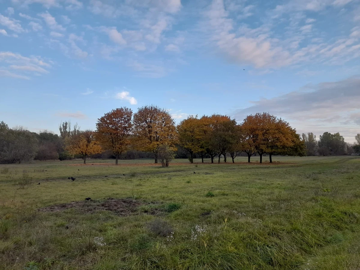 Przed nami kolejne dni z wysoką temperaturą. W poniedziałek i wtorek z południa Europy napłynie bardzo ciepłe powietrze i temperatura w dzień może osiągnąć nawet ok. 20 stopni Celsjusza. Do kiedy będzie tak ciepło? 