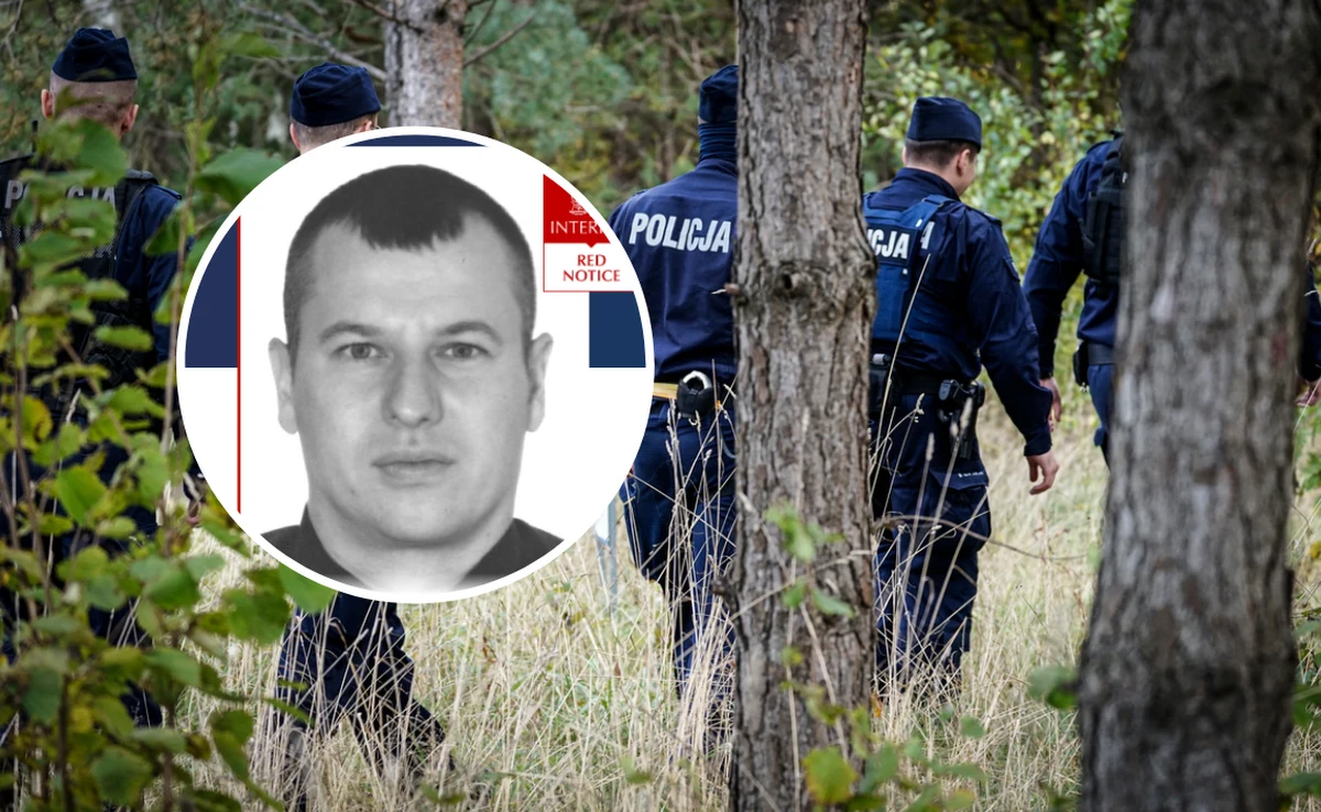 Interpol wystawił "czerwoną notę" za poszukiwanym za zabójstwo 6-letniego syna Grzegorzem Borysem. Zdjęcie poszukiwanego wraz z informacjami o nim pojawiło się na stronie organizacji.