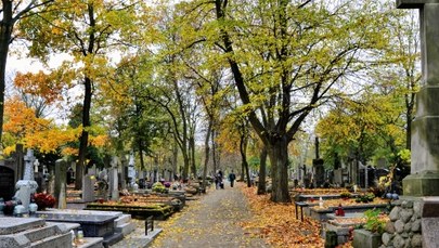 Za 10 lat może zabraknąć miejsc na cmentarzach. Pilnie potrzebna nowa ustawa 