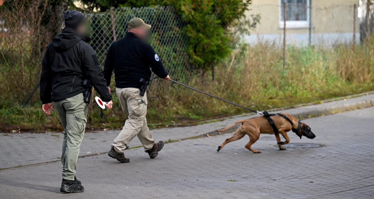 Przy jednym ze zbiorników wodnych znaleziono plecak Grzegorza Borysa - tak nieoficjalnie poinformowała Wirtualna Polska. Kpr. Daria Lubianiec z Żandarmerii Wojskowej w rozmowie z RMF FM nie potwierdziła, że należał on do mężczyzny podejrzanego o zabójstwo 6-letniego syna.