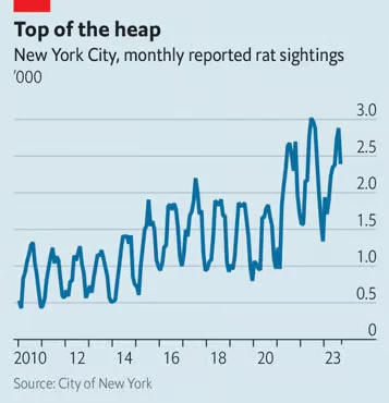Zgłoszone przypadki obecności szczurów w Nowym Jorku od 2010 r. Na przestrzeni trzynastu lat liczba zgłoszonych przypadków znacząco wzrosła. W 2022 r. pod miejskim numerem ostrzegawczym 311 odnotowano niemal 3 mln zgłoszeń obecności szczurów
