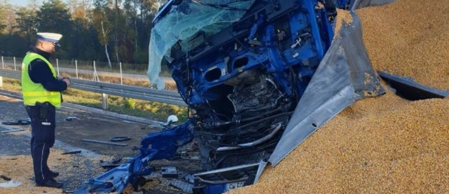 Z utrudnieniami na drodze S17 w okolicach Garwolina na Mazowszu muszą liczyć się kierowcy. W miejscowości Gończyce doszło do zderzenia trzech ciężarówek. Na jezdnię wysypała się kukurydza. 