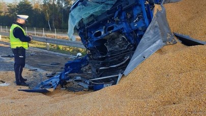 Kukurydza na S17 koło Garwolina po zderzeniu ciężarówek 