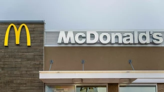 Pomalował myszy i wpuścił do McDonald's. Aktywista w rękach służb