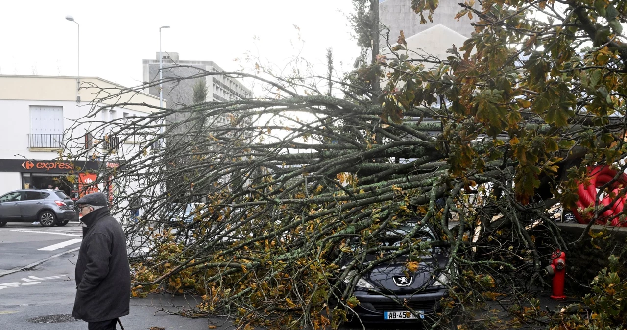 Orkan Ciaran Nad Europą. Chaos Komunikacyjny I Ofiary śmiertelne ...