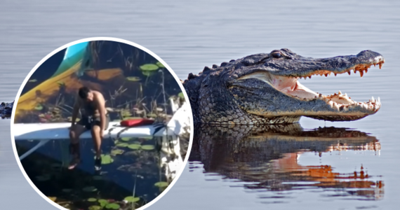 Pilot, którego samolot rozbił się na mokradłach Parku Narodowego Everglades, godzinami czekał na ratunek, siedząc na skrzydle maszyny. I nie było to spokojne oczekiwanie, ponieważ wokół niego pływały aligatory.