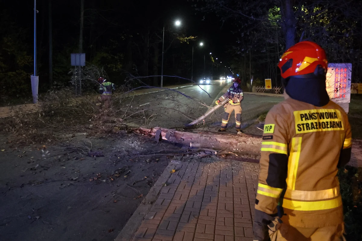 To będzie pochmurny i deszczowy piątek w całej Polsce. Należy spodziewać się też silnego wiatru. Najmocniej powieje na północnym wschodzie i południu kraju. Rządowe Centrum Bezpieczeństwa wydało ostrzeżenie dla dziewięciu województw. 