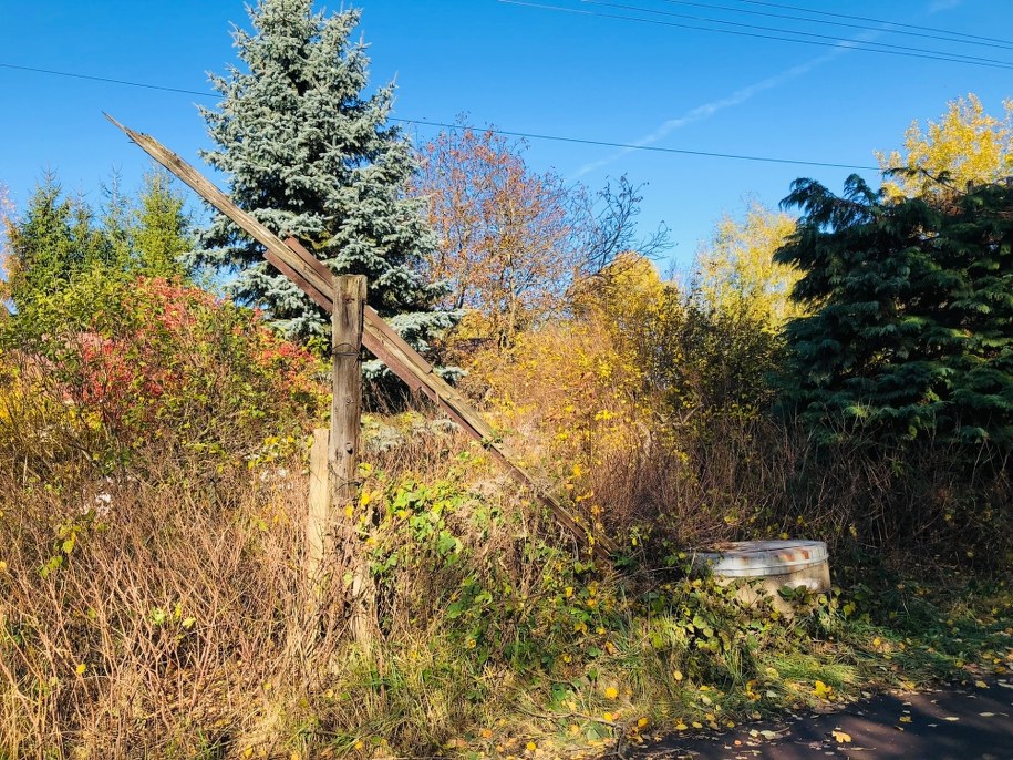 /Agnieszka Wyderka /RMF FM