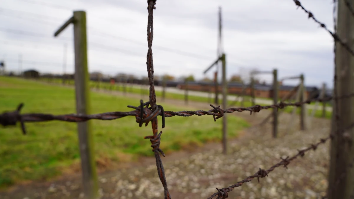 W jeden dzień 18 tysięcy zamordowanych w obozie na Majdanku. W obozach pracy w Trawnikach i Poniatowej, w ciągu dwóch dni, kolejne 24 tysiące. Podczas największej jednorazowej akcji eksterminacji o kryptonimie "Erntefest" - "Dożynki" przeprowadzonej w niemieckich obozach koncentracyjnych zabitych zostało w sumie 42 tysiące żydowskich dzieci, kobiet i mężczyzn. Dziś mija 80 lat od tych tragicznych wydarzeń.