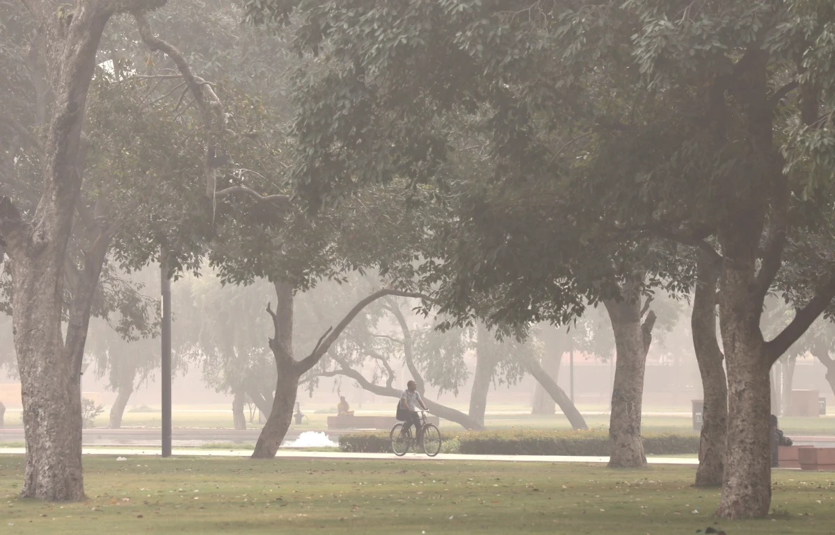 Połączenie niższej temperatury, wolno wiejącego wiatru i dymu z wypalanych ściernisk w sąsiednich stanach spowodowało gwałtowny wzrost zanieczyszczeń powietrza w stolicy Indii, New Delhi. Wskaźnik przekroczył dziś 100-krotnie normę Światowej Organizacji Zdrowia (WHO). Władze podjęły decyzję o zamknięciu szkół i ograniczeniu pracy na ewnątrz.