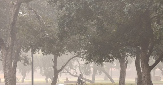 Połączenie niższej temperatury, wolno wiejącego wiatru i dymu z wypalanych ściernisk w sąsiednich stanach spowodowało gwałtowny wzrost zanieczyszczeń powietrza w stolicy Indii, New Delhi. Wskaźnik przekroczył dziś 100-krotnie normę Światowej Organizacji Zdrowia (WHO). Władze podjęły decyzję o zamknięciu szkół i ograniczeniu pracy na ewnątrz.