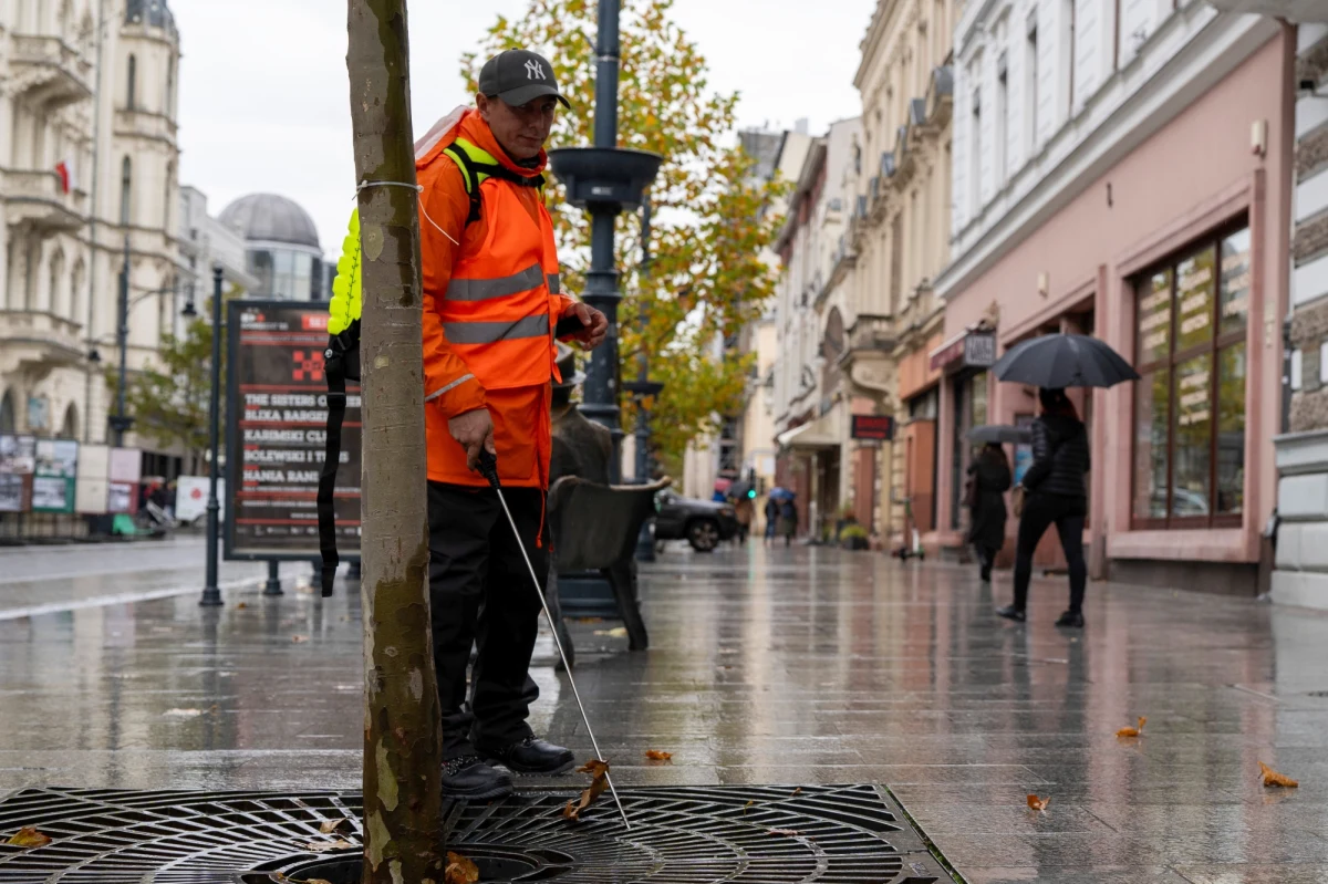 Dwa tysiące łódzkich drzew zostało "zaszczepionych" przeciwko skutkom suszy i chorobom roślin. Ochronę i lepszą wydajność zapewnią im symbiotyczne grzyby, które pomagają w odpowiednim przystosowaniu drzewa do różnorodnych zagrożeń. 