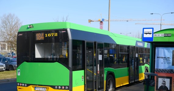 Miejskie Przedsiębiorstwo Komunikacyjne w Poznaniu chce od zaraz zatrudnić 70 kierowców autobusów i 20 motorniczych. Poszukiwani są również fachowcy z innych dziedzin - od elektromonterów po księgowych.
