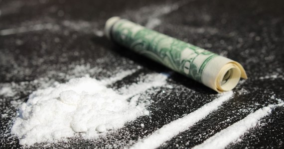 7,5 tony kokainy przechwyciły służby celne w porcie w Antwerpii - poinformowała w sobotę prokuratura. Wartość rynkowa udaremnionego przemytu wynosi 400 mln euro.
