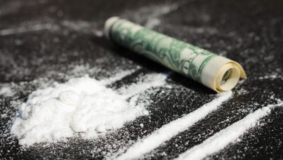 Celnicy udaremnili przemyt 7,5 tony kokainy w porcie w Antwerpii