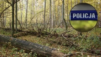 W Białowieskim Parku Narodowym znaleziono zwłoki młodego mężczyzny