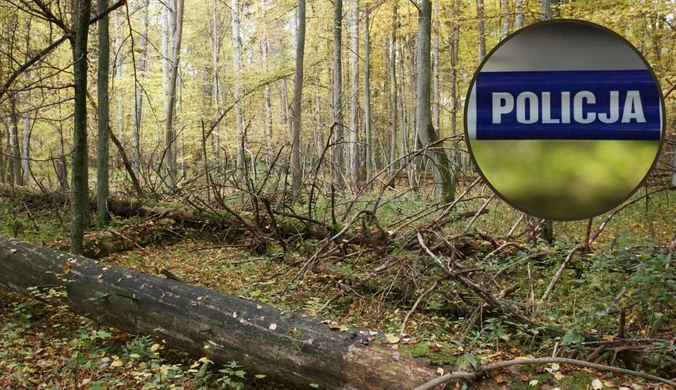W Białowieskim Parku Narodowym znaleziono zwłoki młodego mężczyzny