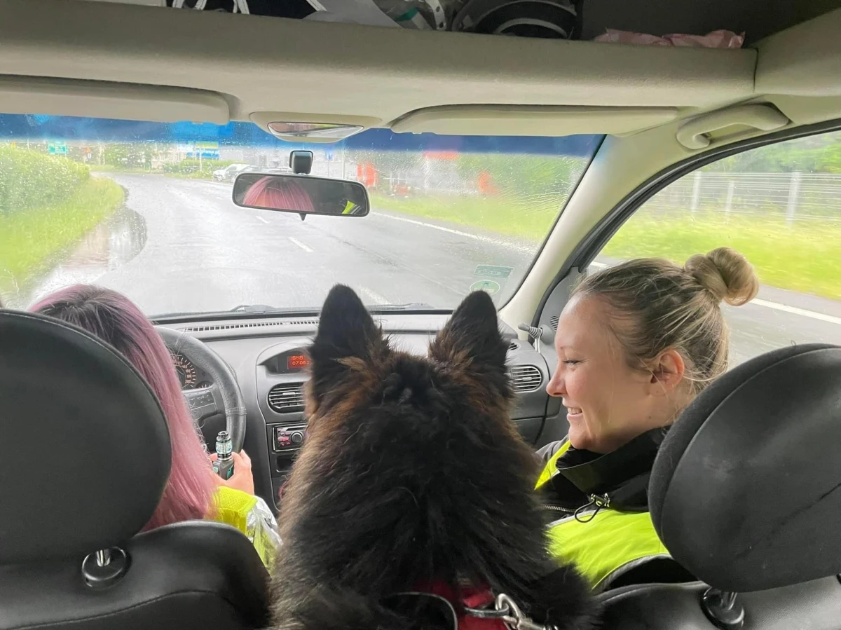 ​Nie mamy czym ratować zwierząt - alarmuje Towarzystwo Opieki nad Zwierzętami z Opola. Zepsuł się ponad 20-letni samochód interwencyjny. Naprawa jest nieopłacalna. Uruchomiono internetową zbiórkę na nowe auto. Cel to 25 tysięcy złotych.