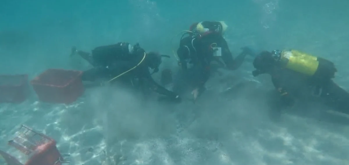 Na dnie morza w pobliżu brzegów Sardynii odnaleziono olbrzymi zbiór doskonale zachowanych monet z IV wieku naszej ery - poinformowało włoskie Ministerstwo Kultury. Na podstawie wagi znaleziska szacuje się, że jest ich od 30 do 50 tysięcy.